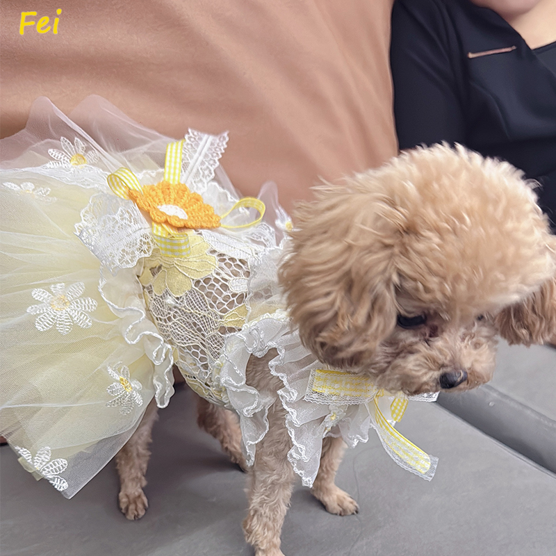 Summer Yellow Daisy Flower Pet - Soft Summer Yellow Clothing review and price