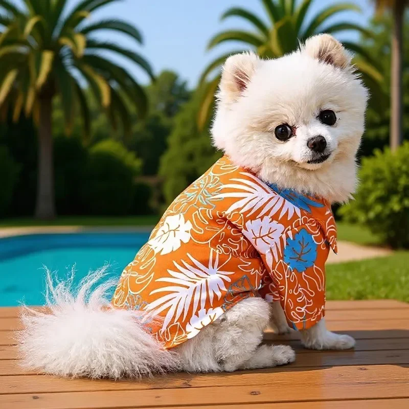 Handsome Small Dog Clothes Sum - Summer Dog Clothing review and price