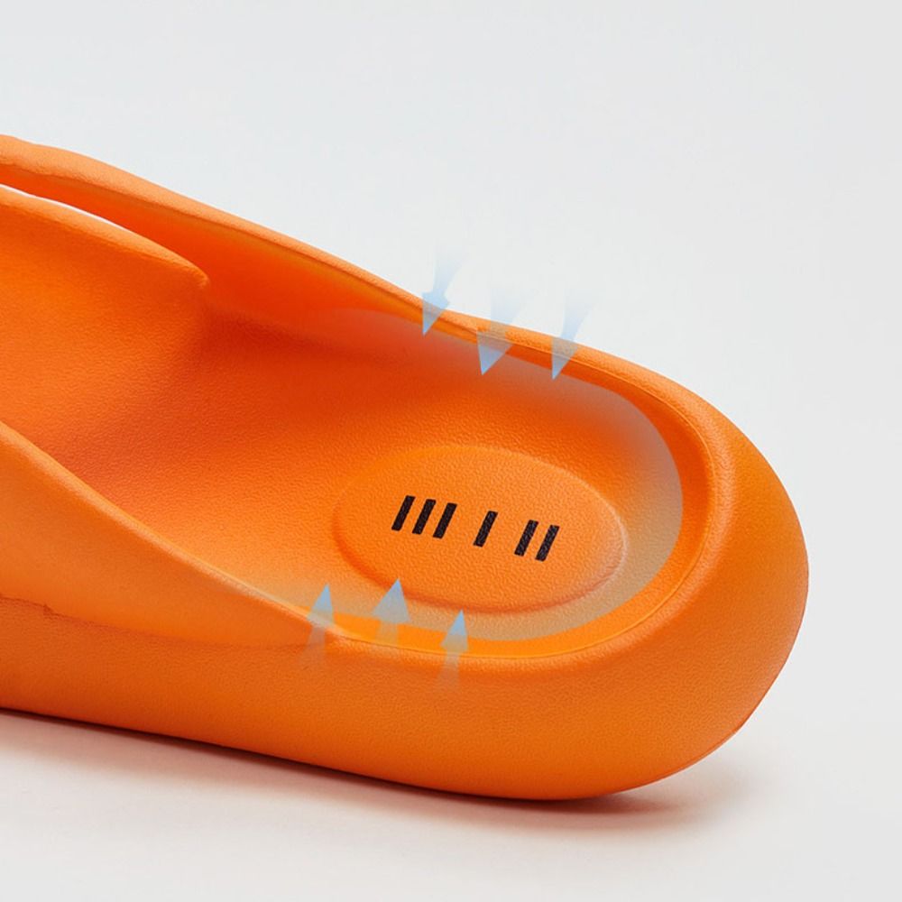 Comfortable Letter Platform Fl - Summer Quotes review and price