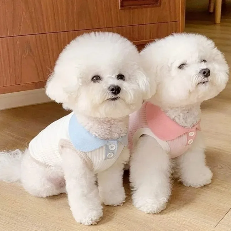 Summer Clothes for Dogs Puppy  - Summer Dog Clothing review and price