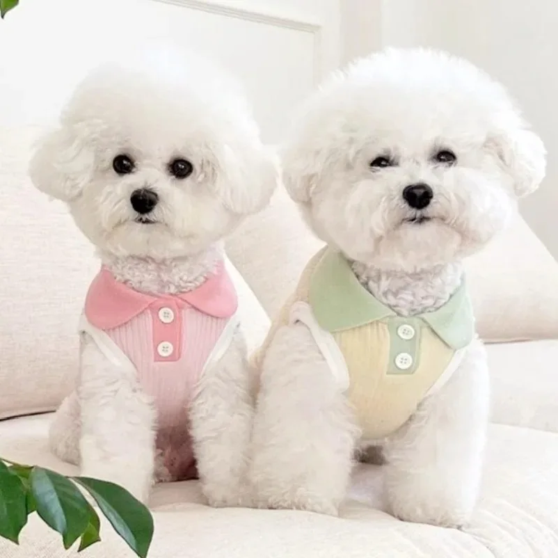 Summer Clothes for Dogs Puppy  - Summer Dog Clothing review and price