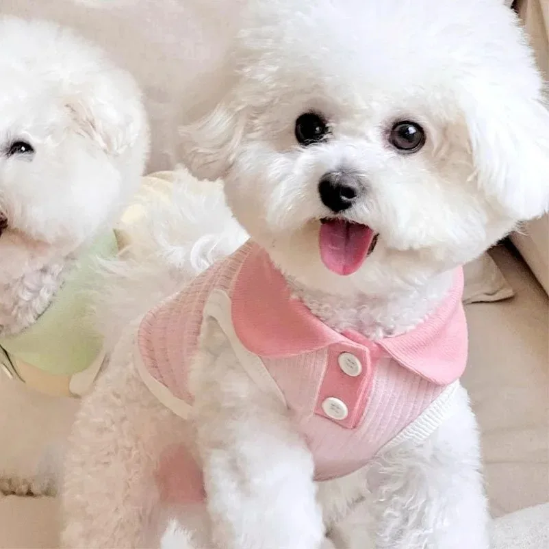 Summer Clothes for Dogs Puppy  - Summer Dog Clothing review and price