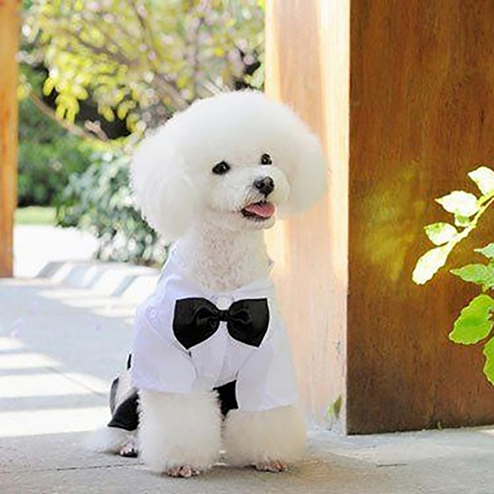 Dog Bow Tie Suit Tuxedo Costum - Summer Dog Clothing review and price