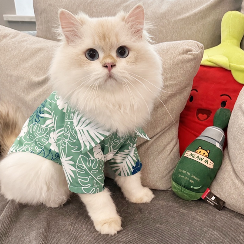 Summer Hawaiian Beach Style Do - Summer Dog Clothing review and price