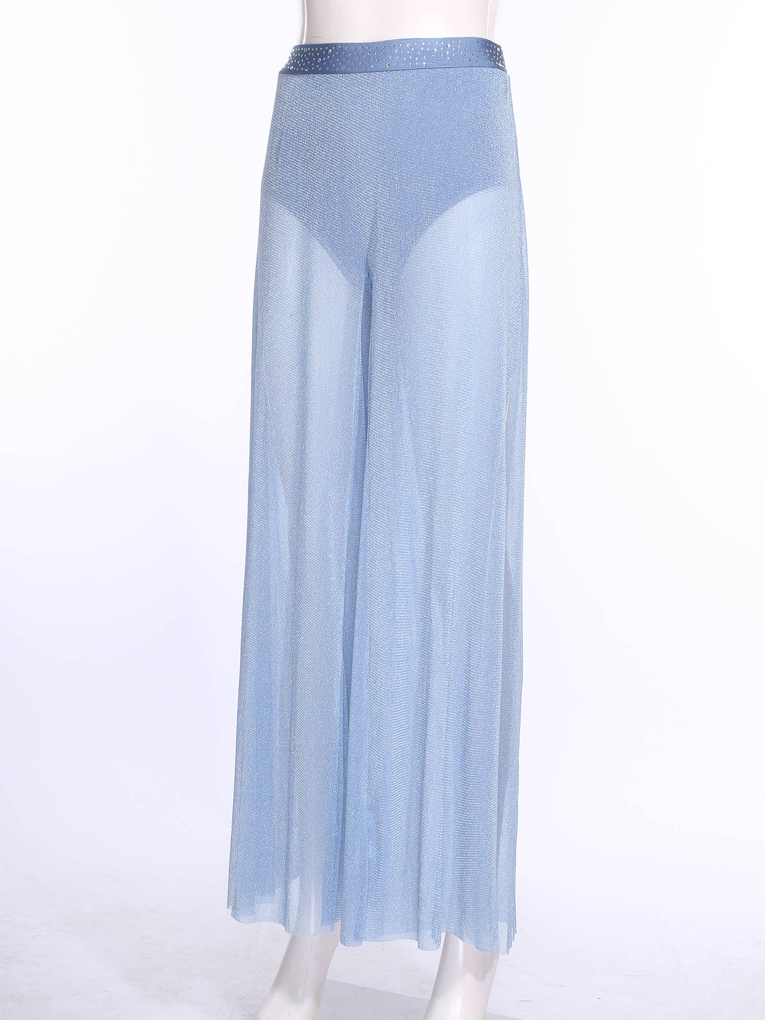 Shimmering Lyrical Mesh Wide L - Palazzo Pant Wide review and price