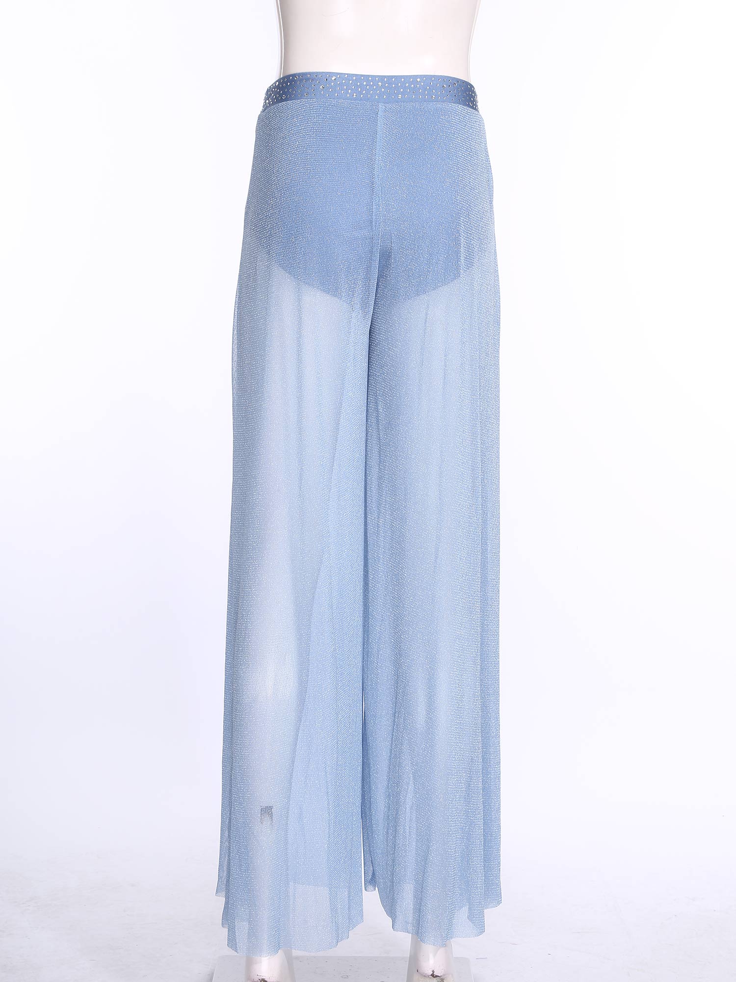 Shimmering Lyrical Mesh Wide L - Palazzo Pant Wide review and price
