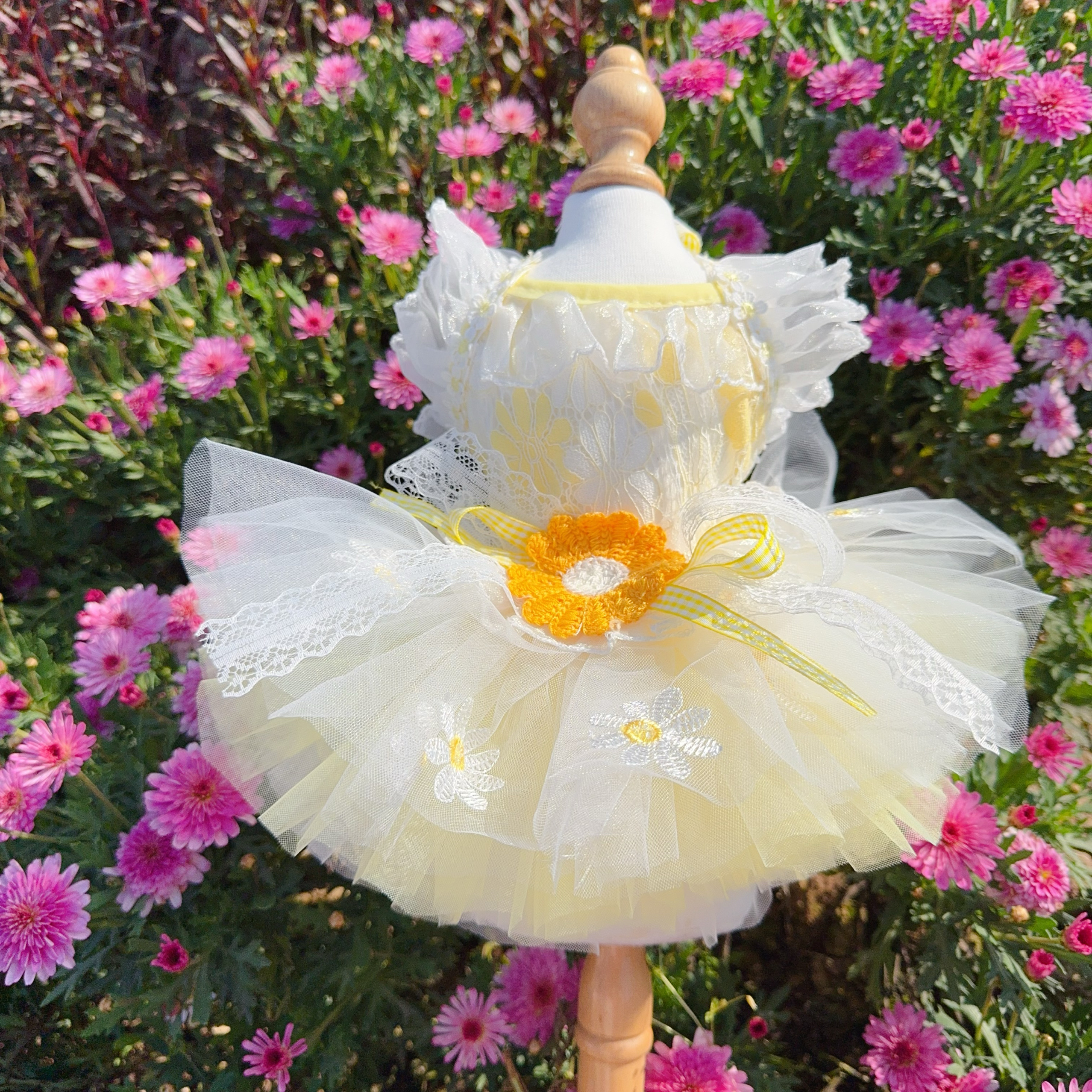 Summer Yellow Daisy Flower Pet - Soft Summer Yellow Clothing review and price