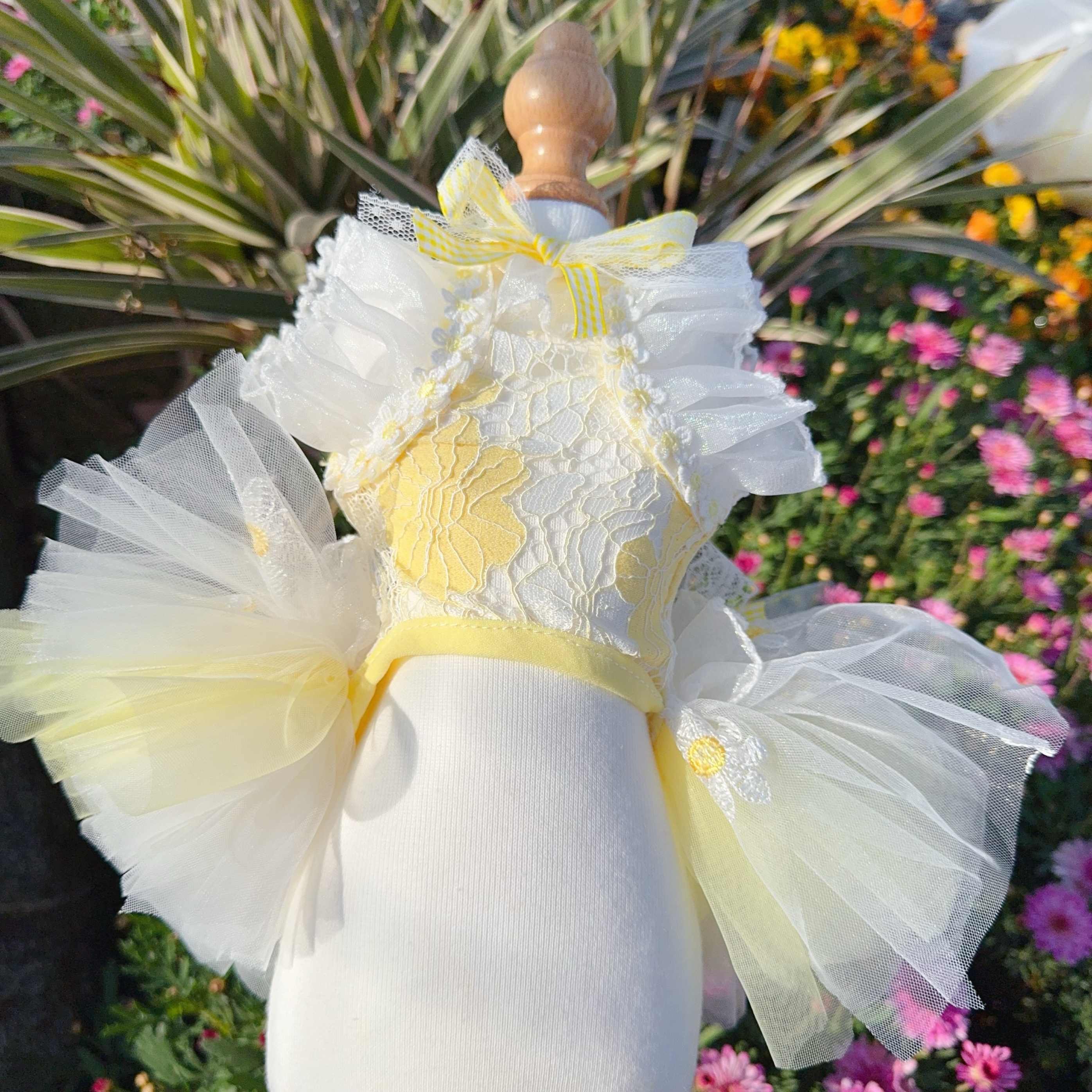 Summer Yellow Daisy Flower Pet - Soft Summer Yellow Clothing review and price