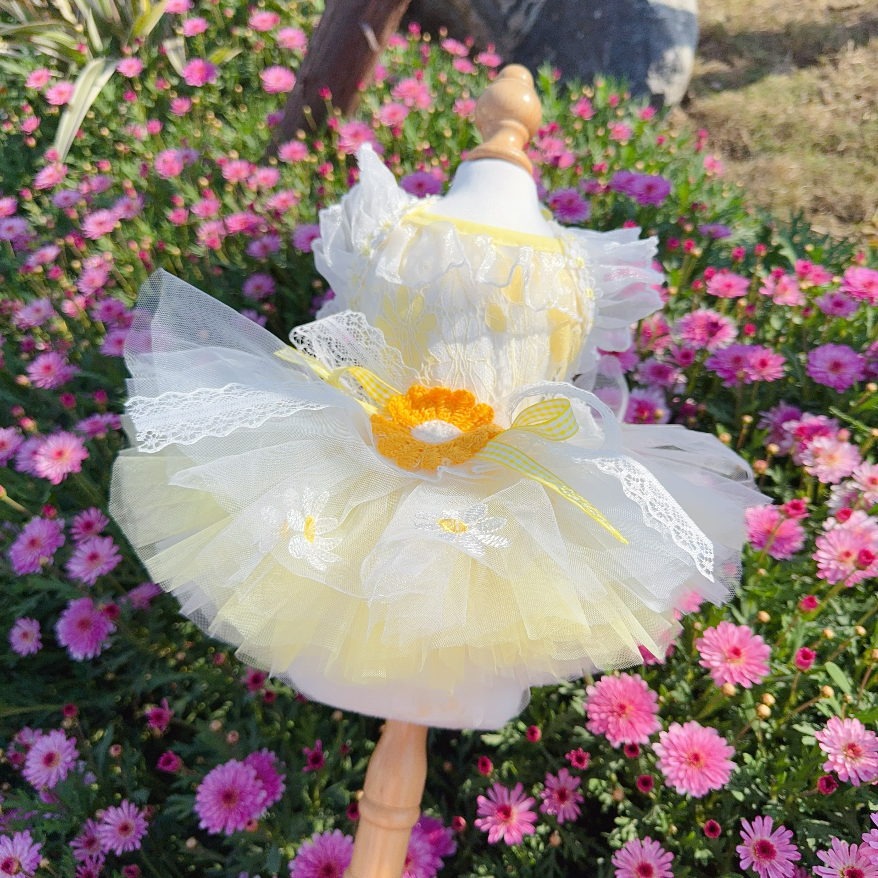 Summer Yellow Daisy Flower Pet - Soft Summer Yellow Clothing review and price